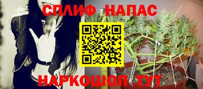 индика Апшеронск