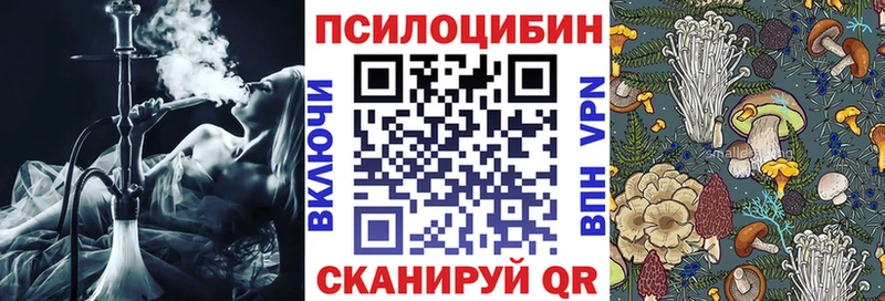 ссылка на мегу маркетплейс  где купить наркотик  Батайск  Псилоцибиновые грибы Cubensis 