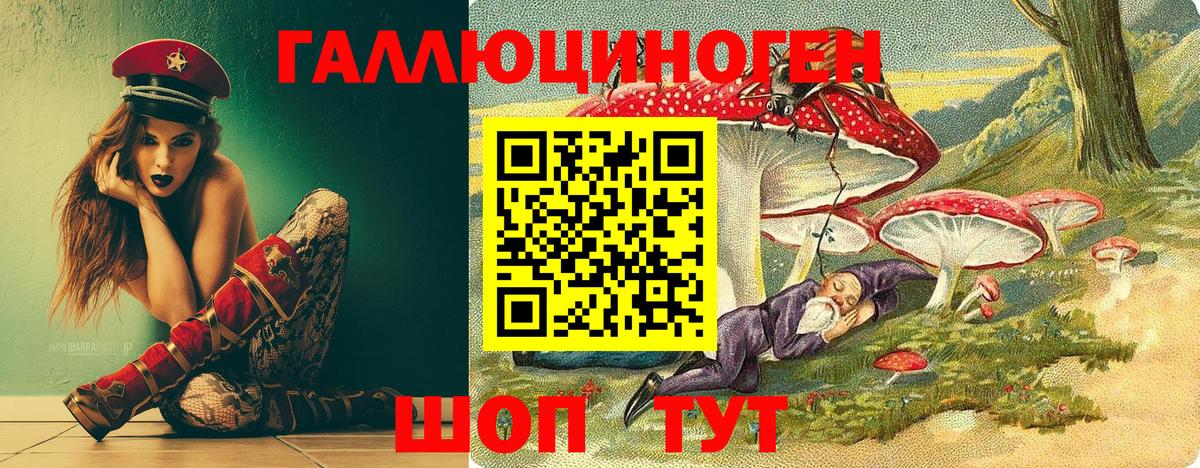 Псилоцибиновые грибы Psilocybe Батайск